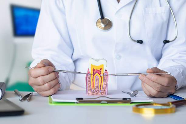 Best Emergency Dental Services for Seniors in Cove Creek, NC